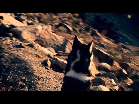 Sun glitter beside me essay s calm interpretation mp3 04 image