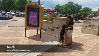 5-Year-Old Lab Mix Hachi! Best Labrador Retriever Dog Trainers in Colorado! by Off Leash K9 Training 66 views 6 years ago 10 minutes, 51 seconds