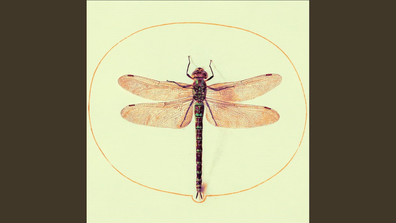 Watch august Light.. on YouTube Watch august Light.. on YouTube