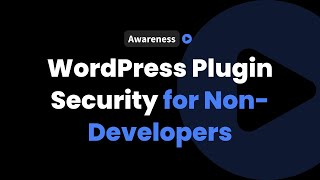 WordPress Plugin Security for Non-Developers