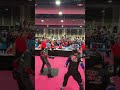 Primer round final campeonato mundial wkc Santiago Estrada Campeón