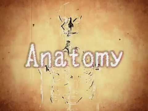 【初音ミクV4X】Anatomy【解剖学的にオリジナル】