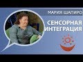 Мария Шапиро о сенсорной интеграции (аутизм коррекция)