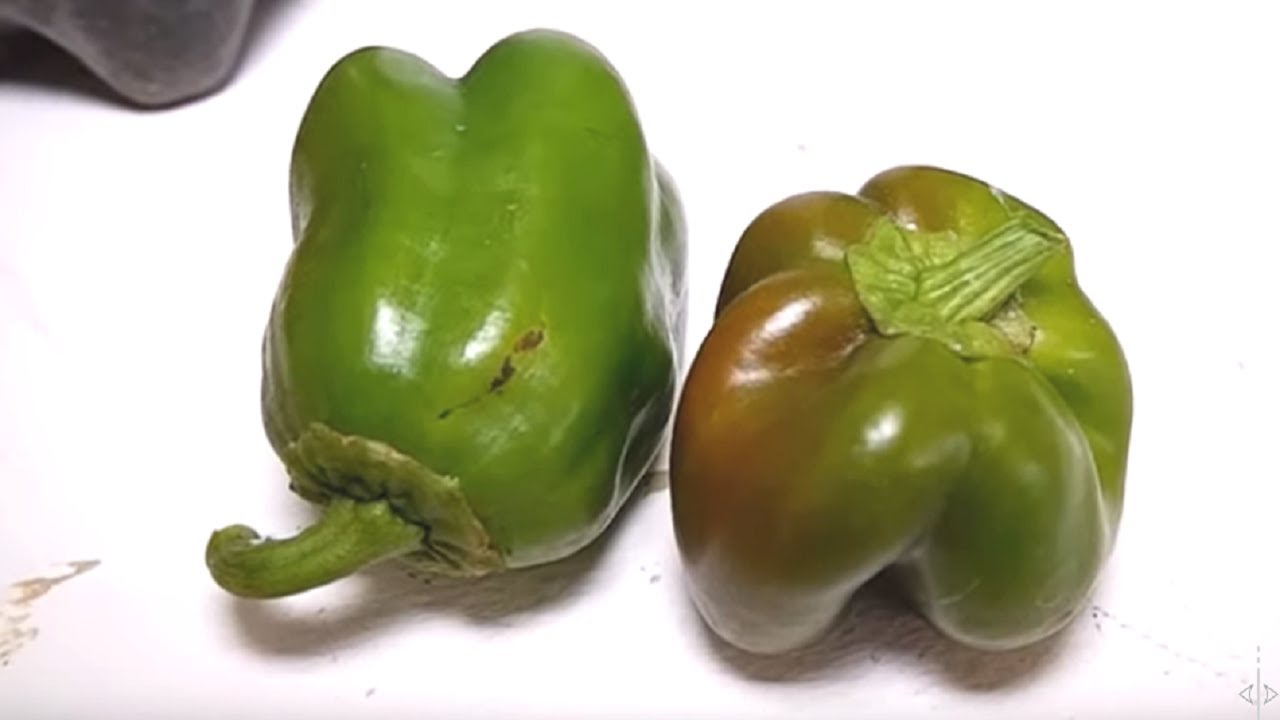 How to Grow Green Bell Peppers in a Pot Using Plastic Bottles at Home