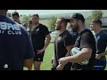 Zebre Parma: Disciplina Responsabilità Sostegno Bellezza
