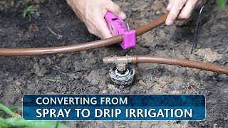 Converting From Spray to Drip Irrigation