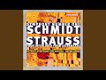 Miniature de la vidéo de la chanson Symphony No. 1 In E Major: Iii. Schnell Und Leicht