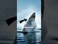 3 Ocean Monsters That Make Sharks Look Harmless 🦈💀#facts #animalfacts #wildlife #shorts