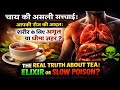 Tea: अमृत या धीमा ज़हर? रोज चाय पीने वालों को जरूर देखना चाहिए