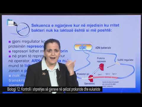 Video: A është metilimi i ADN-së një modifikim pas përkthimit?