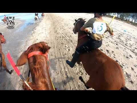 Video: Adakah Perlumbaan Kuda Perlu Sokongan Anda?