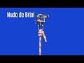 NUDO DE BRIOL