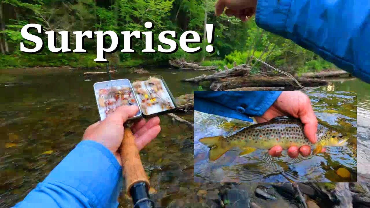 DRY FLY (FLY FISHING) with EURONYMPHING SET UP Kettle Creek