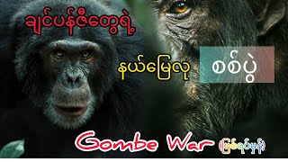 Gombe Chimpanzee War (သို့မဟုတ်) လူသားတွေနဲ့ တူညီတဲ့ စရိုက်