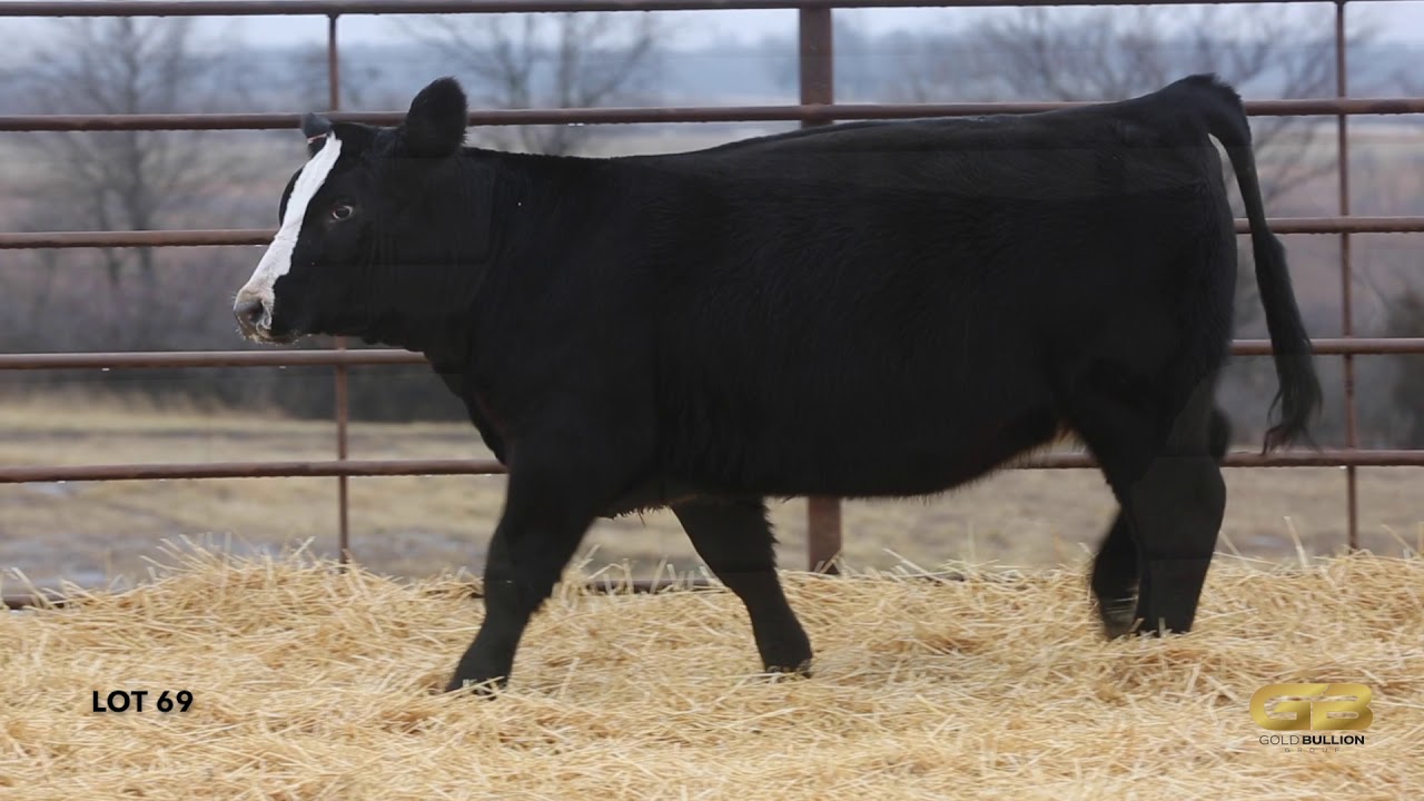 Lot 69 Gold Bullion Group YouTube