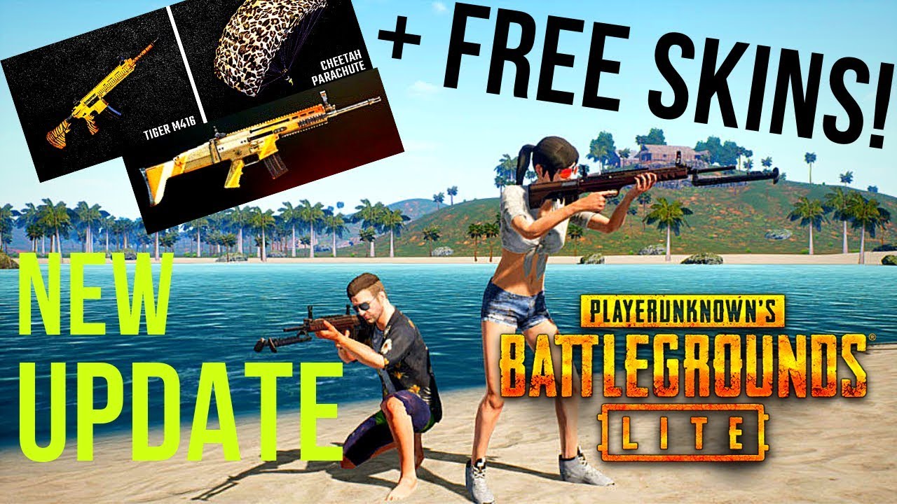 Pubg Lite Pc New Update Free Scar L Skin M416 Skin And Parachute Skin June 19 Youtube