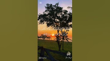 أواخر سورة النبأ 🌹#القرآن_الكريم #صوت_جميل #راحة_نفسية #اكسبلور #duet #القارئ_مروان_سالم