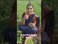 మినుముల వ్యవసాయం మినుములతో లాభాలు #agriculture #farming #ai #aivideo