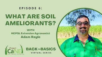 Back to Basics - Episode 6: What are Soil Ameliorants?