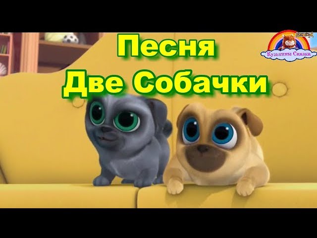 Видео собачка песня. Песенка про собачку детская. Про собачек песенки детские. Детские песни про собачку.