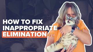 How To Stop Inappropriate Elimination in Cats