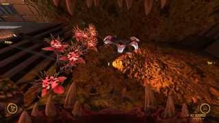 Natural Selection 2 - The Shadow Gorge