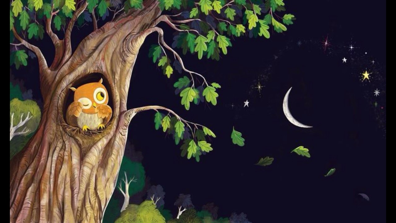 Owl Sound Effects (Owls screeching & hooting)