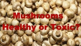 "keep in mind that you should cook most mushrooms before eat them- the
simple white, cremini, and portobello contain a potentially
carcinogenic...