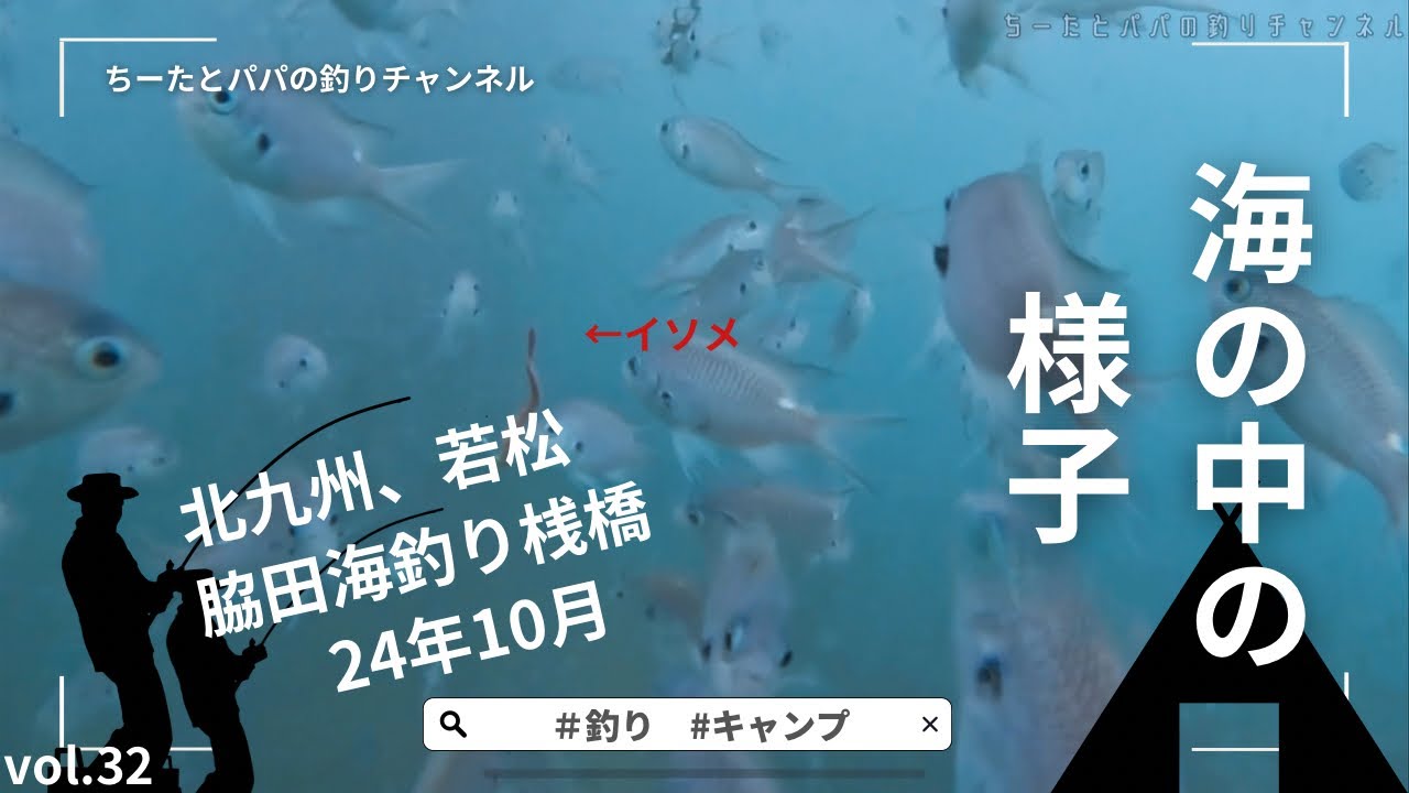 北九州 脇田海釣り桟橋 水中映像 24年10月 - YouTube