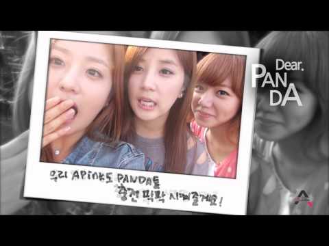 Apink - 2nd Anniversary