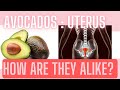 The health benefits of avocados  the female reproductive system