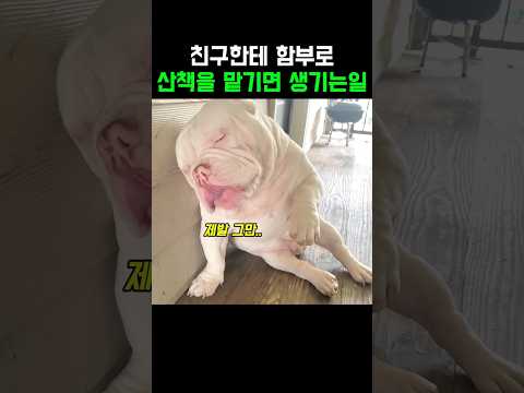 친구한테 함부로 산책을 맡기면 생기는일 thumbnail