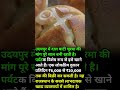 उदयपुर – दाल बाटी चूरमा #shorts #funny #trending #love #viral #rees #fact @funny