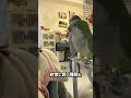 飼い主からキスの仕方を教わったインコ達