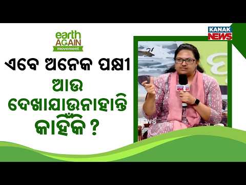 ପକ୍ଷୀ ଆଉ ଦେଖାଯାଉନାହାନ୍ତି କାହିଁକି ? Why Are So Many Birds Disappearing From Odisha’s Skies Today?