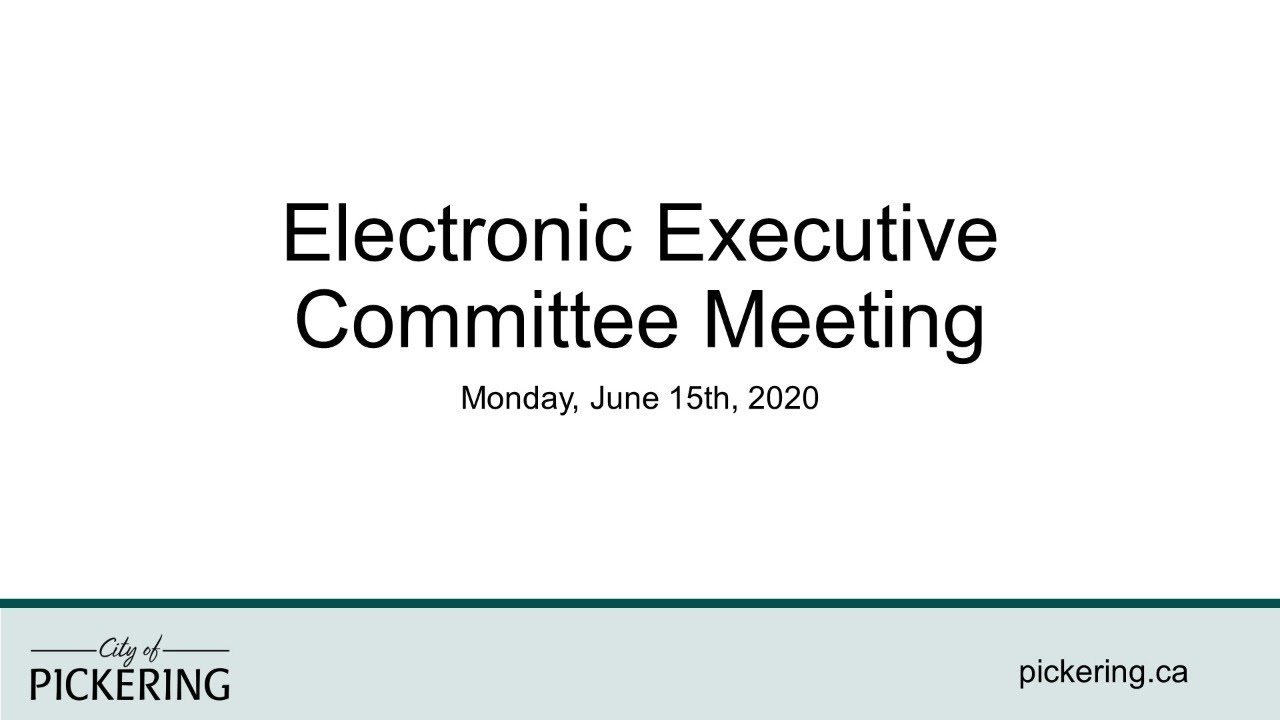 Electronic Executive Committee Meeting YouTube