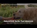 Makumittel jakso 4  mehukkaita tomaatteja  pohjoissavo   taste savo  nordic food adventure