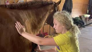 How to Untack a Horse (Frenchietown USA)