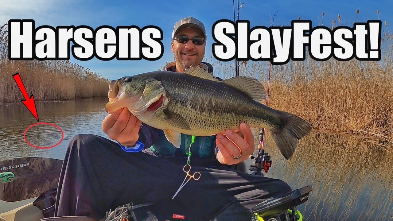 Kayak Fishing on Harsens Island for BIG Prespawn Bass