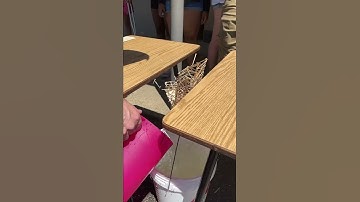 Math C: Toothpick Bridge Project