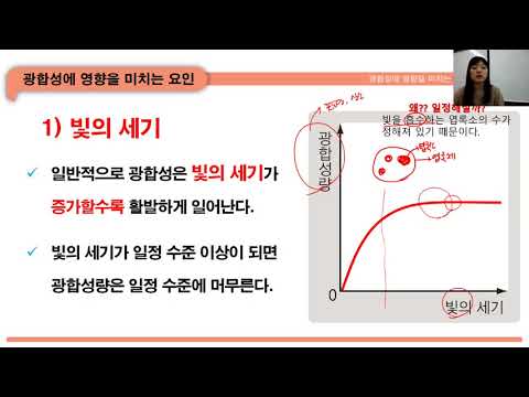 4.1.2 광합성에 영향을 미치는 요인은(1)