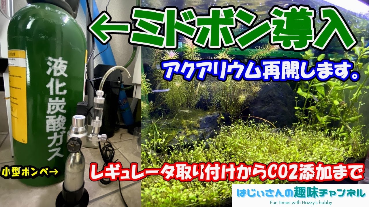 I finally installed a mid-sized tank ^^ From installing the 