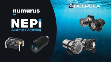 NEPI Engine - Partner Solutions - DeepSea Camera and Lights