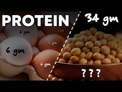 Top 10 Things having more Protein than Eggs.