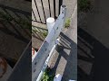 高浜市を少し散歩｜Walking in Takahama Japan