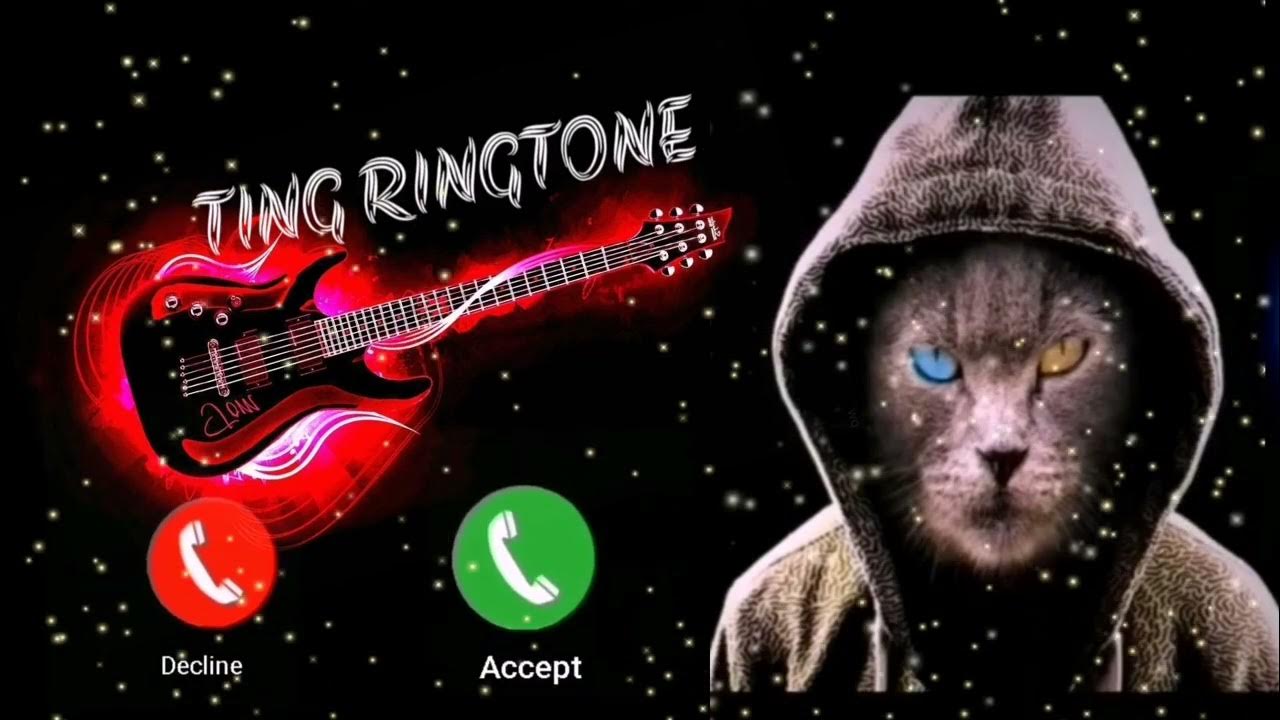 Abe Yar New Sms Ringtone Funny Ringtone Alarm Ringtone Call Ringtone