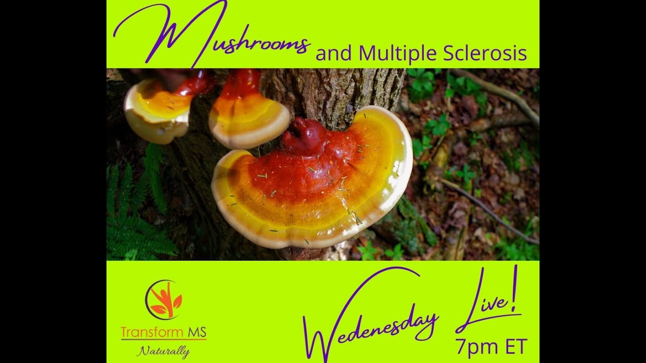 Mushrooms and Multiple Sclerosis YouTube