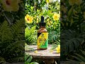 CBD Oil Benefits #cbdoilbenefits #shorts #fyp #wellness #natural #painrelief #trending #cbdoils