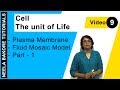 Cell - The unit of Life - Plasma Membrane - Fluid Mosaic Model - Part - 1