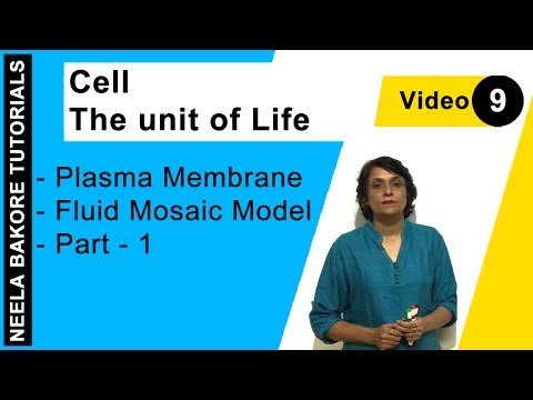 Cell - The Unit Of Life - Plasma Membrane - Fluid Mosaic Model - Part - 1